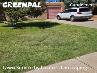 Lawn Cutting nearby Albuquerque, NM, 