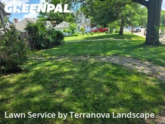 Yard Mowingin Elgin,60120,Lawn Cutting by Terranova Landscape, work completed in Jan , 2026