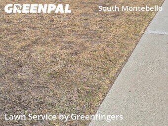 Lawn Mowing Service nearby Montebello, CA, 