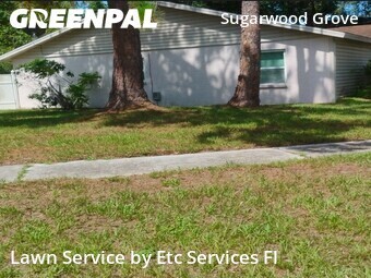 Lawn Mowin Tampa,33625,Yard Mowing by Etc Services Fl, work completed in Jul , 2026