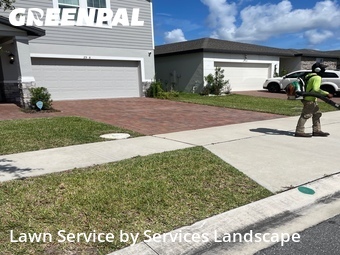 Grass Cut nearby Saint Cloud, FL, 