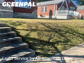 Lawn Care nearby St. Louis, MO, 