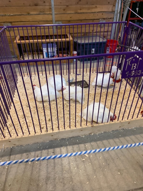 Quick Lawn Service Lawn Care Services in Altoona, IA