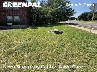 Yard Cutting nearby San Antonio, TX, 