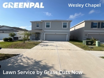 Yard Mowingin Wesley Chapel,33545,Lawn Maintenance by Grass Cuts Now, work completed in Jun , 2026