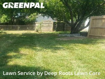 Yard Cutting nearby Springfield, MO, 