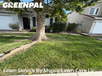 Work completed by residential-lawn-cutting-businesses-in-Elk Grove-CA
