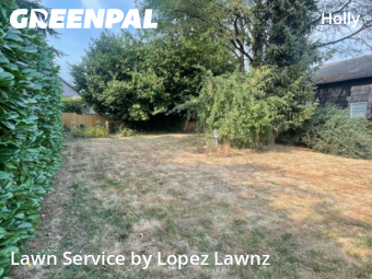 Lawn Service nearby Everett, WA, 