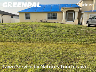 Lawn Cut nearby Cape Coral, FL, 