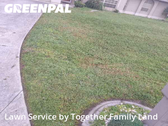 Yard Cutting nearby Punta Gorda, FL, 