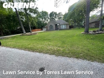 Grass Cut nearby Conroe, TX, 