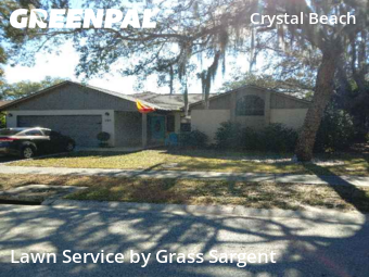 Lawn Carein Palm Harbor,34683,Lawn Service by Grass Sargent, work completed in Dec , 2025