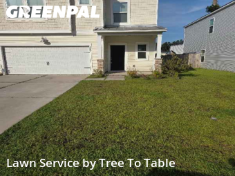 Yard Cutting nearby Charleston, SC, 