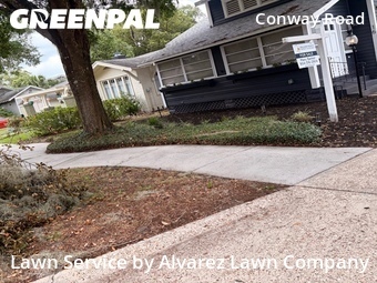 Grass Cutting nearby Orlando, FL, 