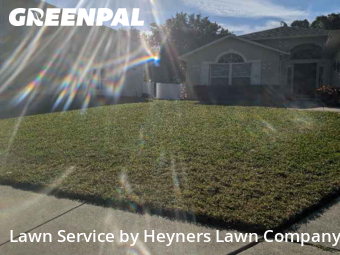 Lawn Cut nearby Apopka, FL, 