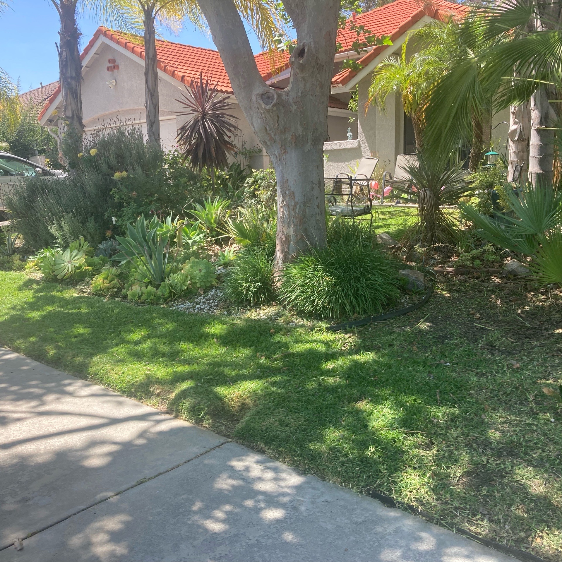 the-yard-cutting-businesses-in in Carlsbad, CA