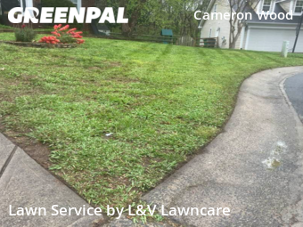 Lawn Maintenance nearby Charlotte, NC, 