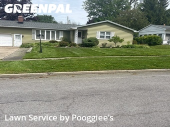 Lawn Care nearby Akron, NY, 