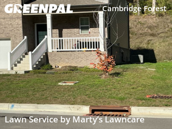 Lawn Mowing nearby Nashville, TN, 