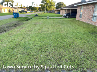 Yard Mowing nearby Lafayette, LA, 