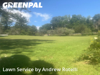 Yard Cutting nearby Baldwinsville, NY, 