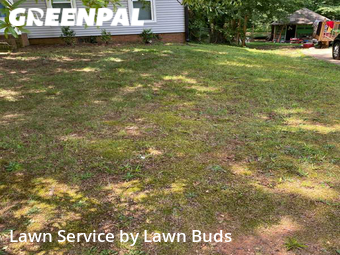 Grass Cutting nearby Charlotte, NC, 