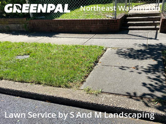 Yard Cutting nearby Washington, MD, 