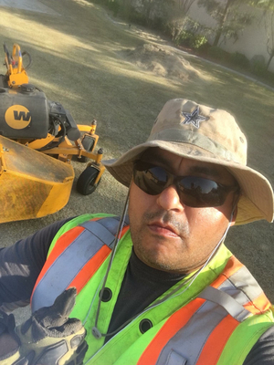 Local Lawn care service near me in Bakersfield , CA, 93301