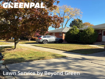 Grass Care in Dearborn Heights, 48127, Grass Services by Beyond Green, work completed in Nov , 2025