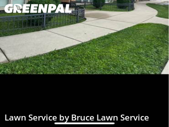 Yard Care Services in Maywood, 60153, Yard Care by Bruce Lawn Service, work completed in Oct , 2025