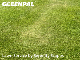 Lawn Care nearby Port Charlotte, FL, 