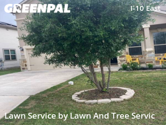 Grass Cutting nearby San Antonio, TX, 
