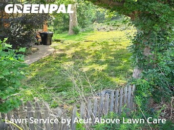 Lawn Mowing Service nearby Bethel Park, PA, 