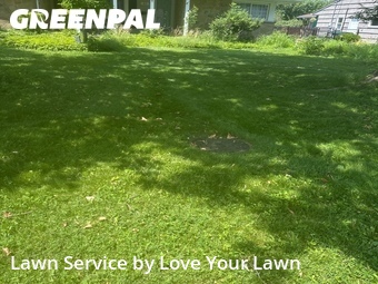 Lawn Mowing nearby Buffalo, NY, 