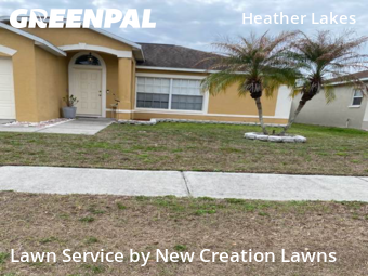 Lawn mowed in Brandon, 33511