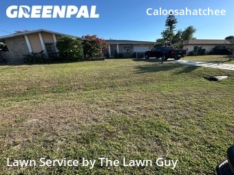 Grass Cut nearby Cape Coral, FL, 