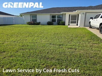 Lawn Cut nearby Ocala, FL, 