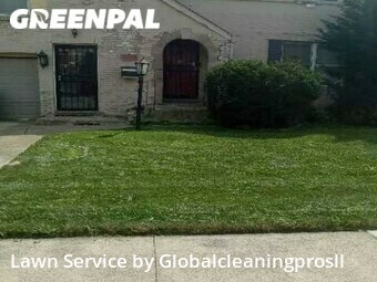 Lawn Mowing nearby Dolton, IL, 