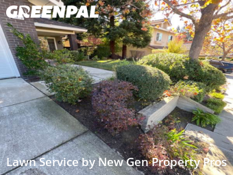 Yard Grooming in Danville, 94506, Yard Grooming by New Gen Property Pros, work completed in Nov , 2025
