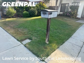 Grass Cutting nearby San Diego, CA, 