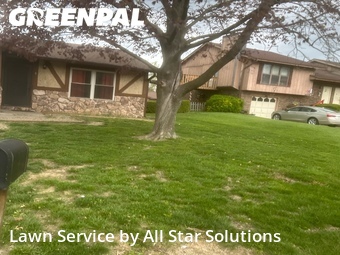 Lawn mowed in Belleville, 62226