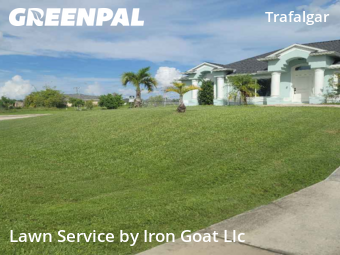 Lawn Care nearby Cape Coral, FL, 