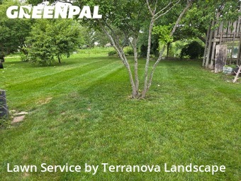 Lawn Care Service nearby Oswego, IL, 