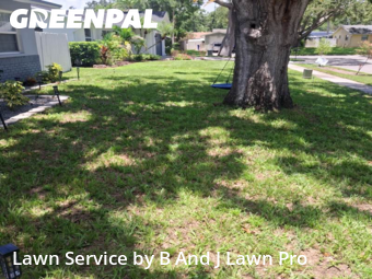Lawn Service nearby Dunedin, FL, 
