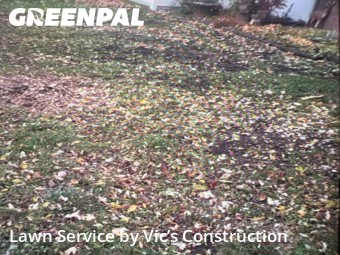 Lawn Mow nearby Joliet, IL, 