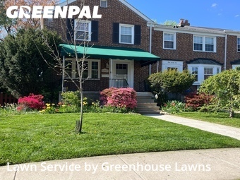 Grass Cut nearby Baltimore, MD, 