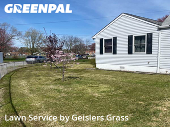 Yard Cutting nearby Dundalk, MD, 