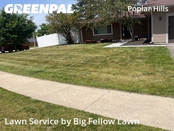 Grass Cut nearby Hoffman Estates, IL, 