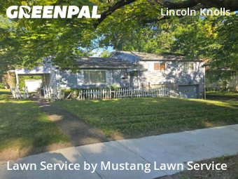 Lawn Mow nearby Youngstown, OH, 