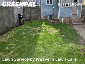 Lawn Maintenance nearby Indianapolis, IN, 